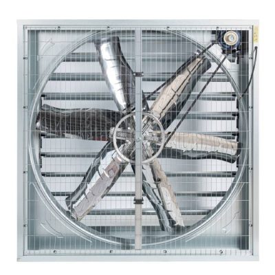 quat thong gio vuong gan tuong 800x800