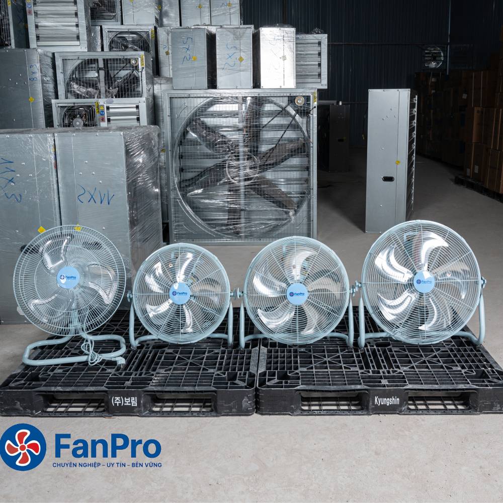 quat chan quy fanpro